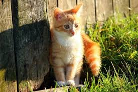 Sprmarx (@sprmarx) on Twitter photo 