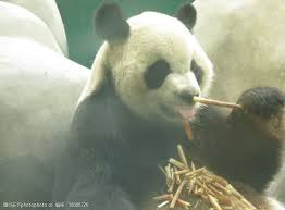 Sprmarx (@sprmarx) on Twitter photo 