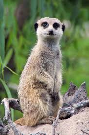 Sprmarx (@sprmarx) on Twitter photo 