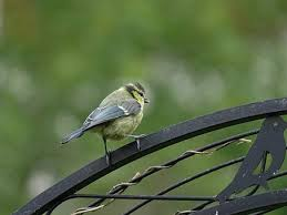 Sprmarx (@sprmarx) on Twitter photo 