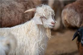 Sprmarx (@sprmarx) on Twitter photo 