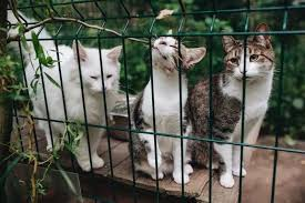 Sprmarx (@sprmarx) on Twitter photo 