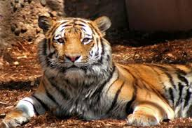 Sprmarx (@sprmarx) on Twitter photo 