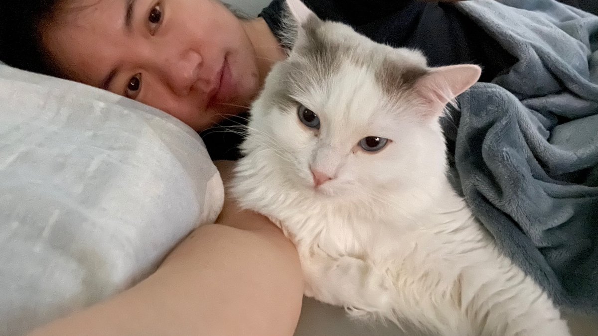 Catcatcatiecat's tweet photo. Who’s holding the camera😜😜
#blueMonday  
#sleepymonday 
#lazycat https://t.co/iAhizlX5OX