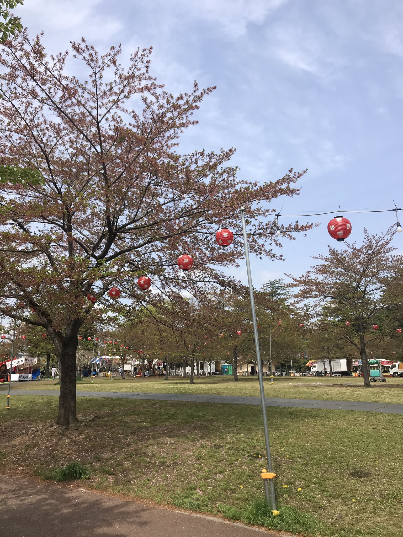 西公園お花見 Sendai Ohanami Twitter