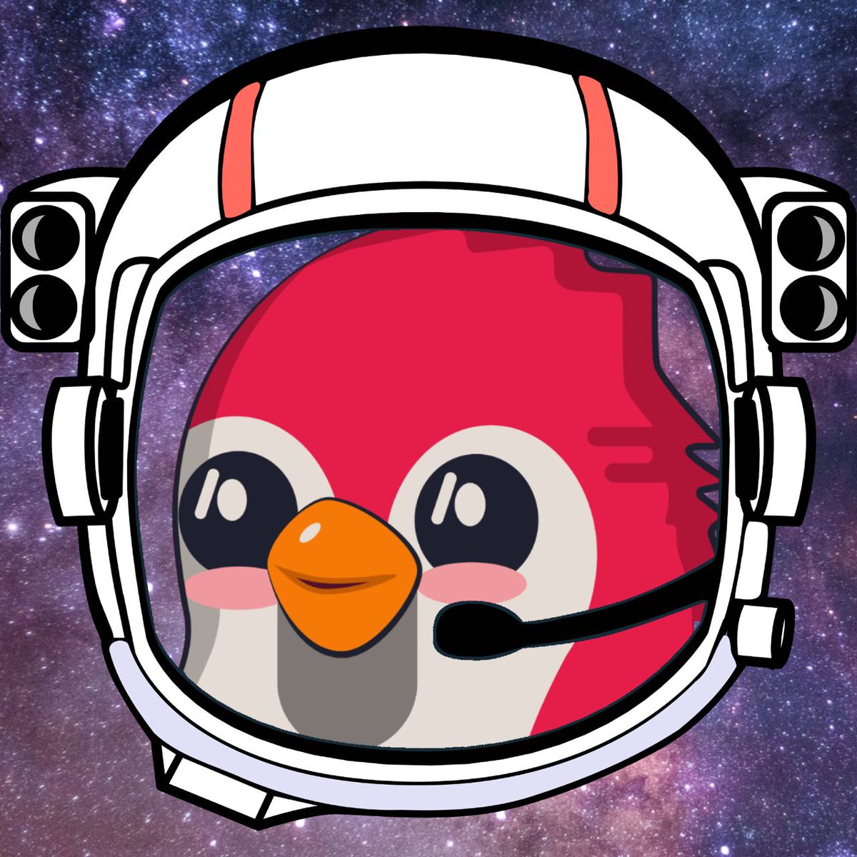 Squawk & Chirp tweet media