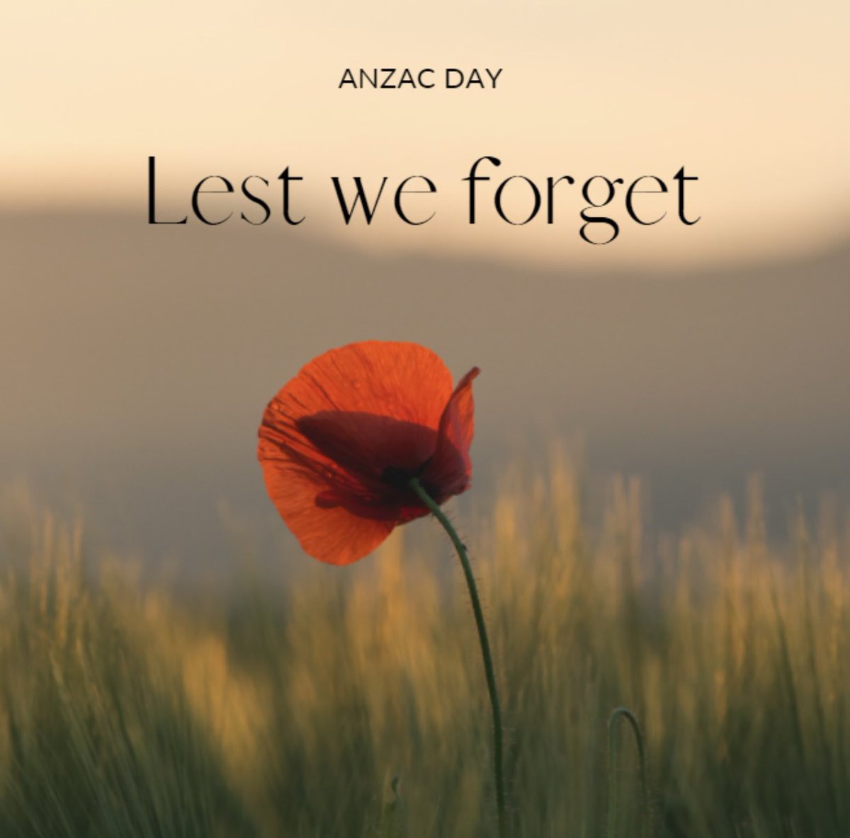 Today we remember and honour those who made the ultimate sacrifice for our freedom.
We will remember them.
#anzacday #lestweforget
