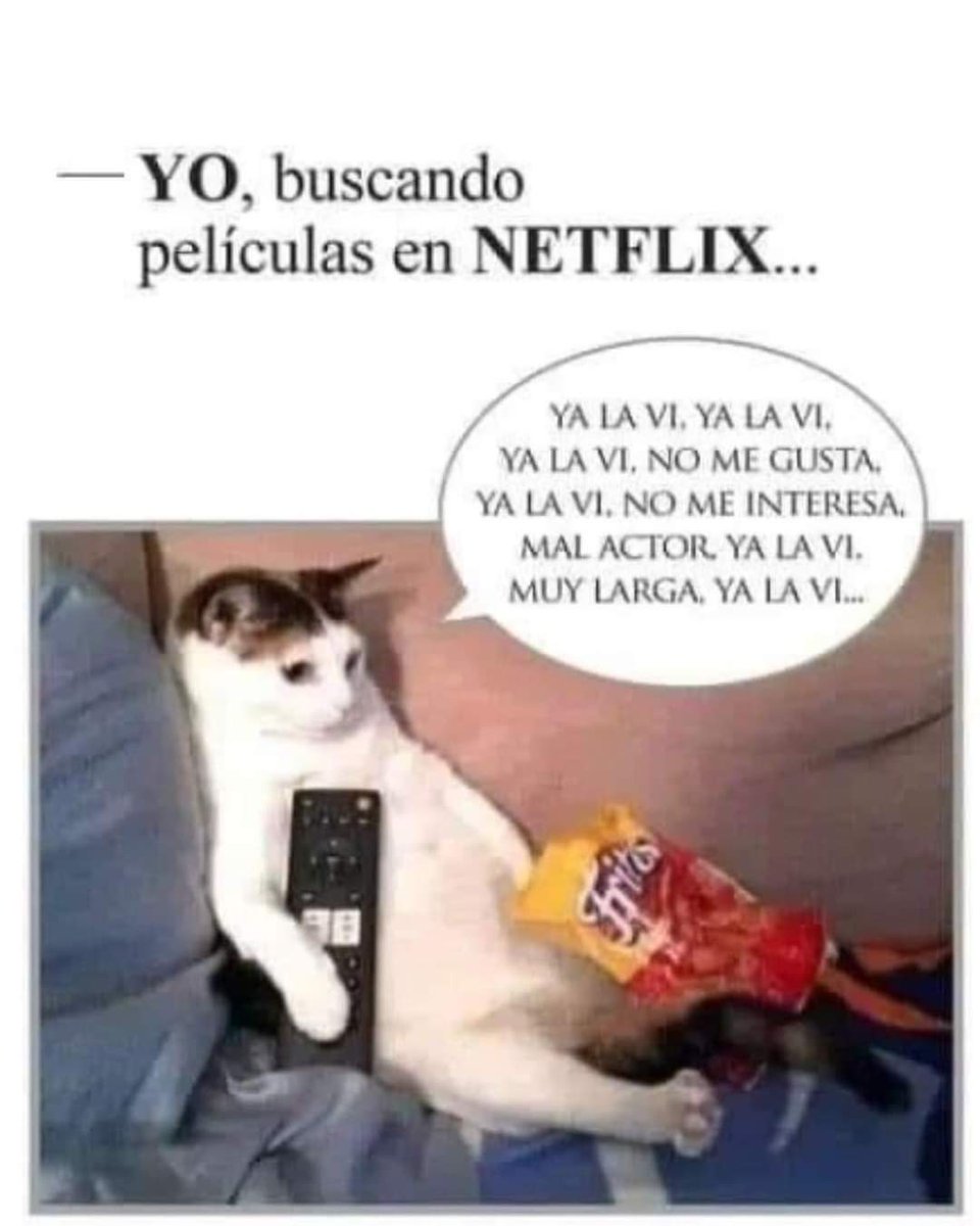 amilindaheidi's tweet photo. Netflix #quebro https://t.co/8Gt1nggKQn