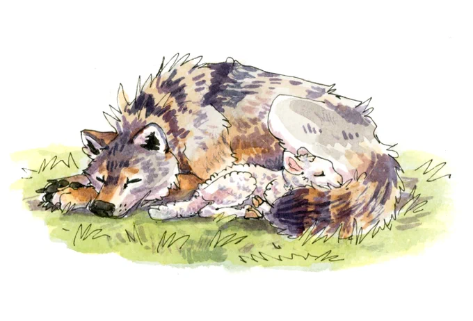 sleeping...... 