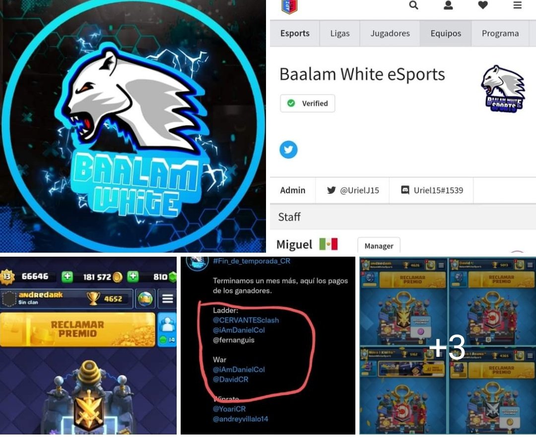Buscamos reactivar el clan para estar top guerra y ladder

⭐CLAN VERIFICADO EN ROYALE API

Beneficios
✅PASS ROYALE TOP 3 GUERRA
✅TORNEO INTERNO, PASS AL GANADOR
✅PREMIO LADDER 10 USD

Requisitos
-Récord de mínimo 6k
-Hacer sus 4 ataques
-Entrar al grupo de Whats
-Nivel 13/14