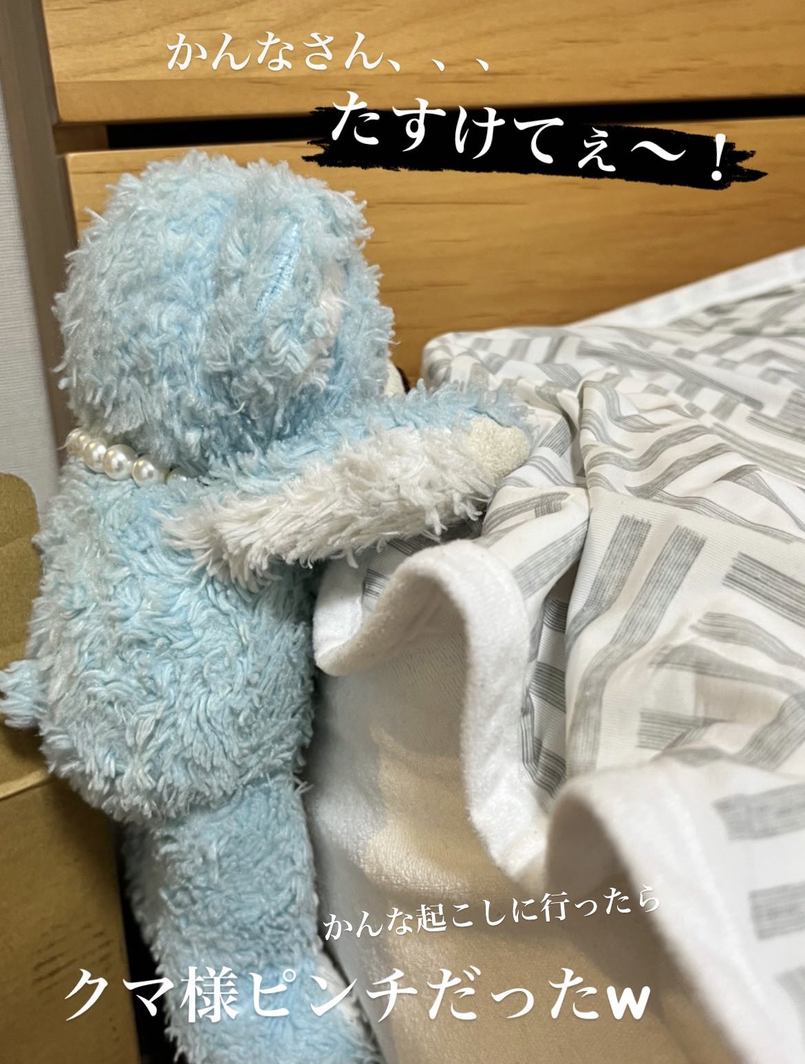 ちょびん様　　クマ Amazon.co.jp: シナダ 幸せを呼ぶ くまさん ナチュラルアイボリ