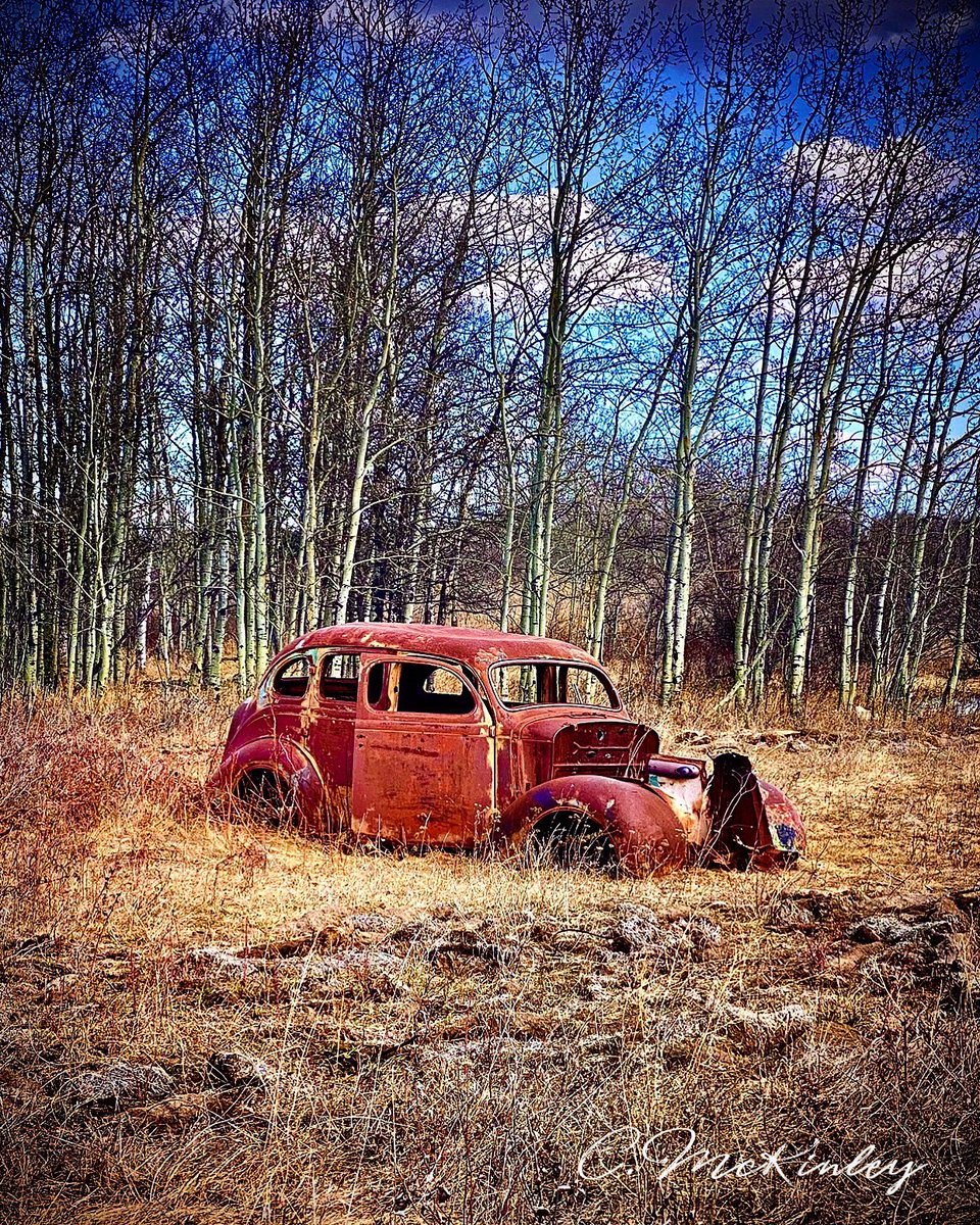Along the road… #outdoors #explorealberta #exploring #abandoned #oldcar #prairies #nature #forgotten #natureza #roadtrip #roadtripping #nature_perfection #nature_brilliance