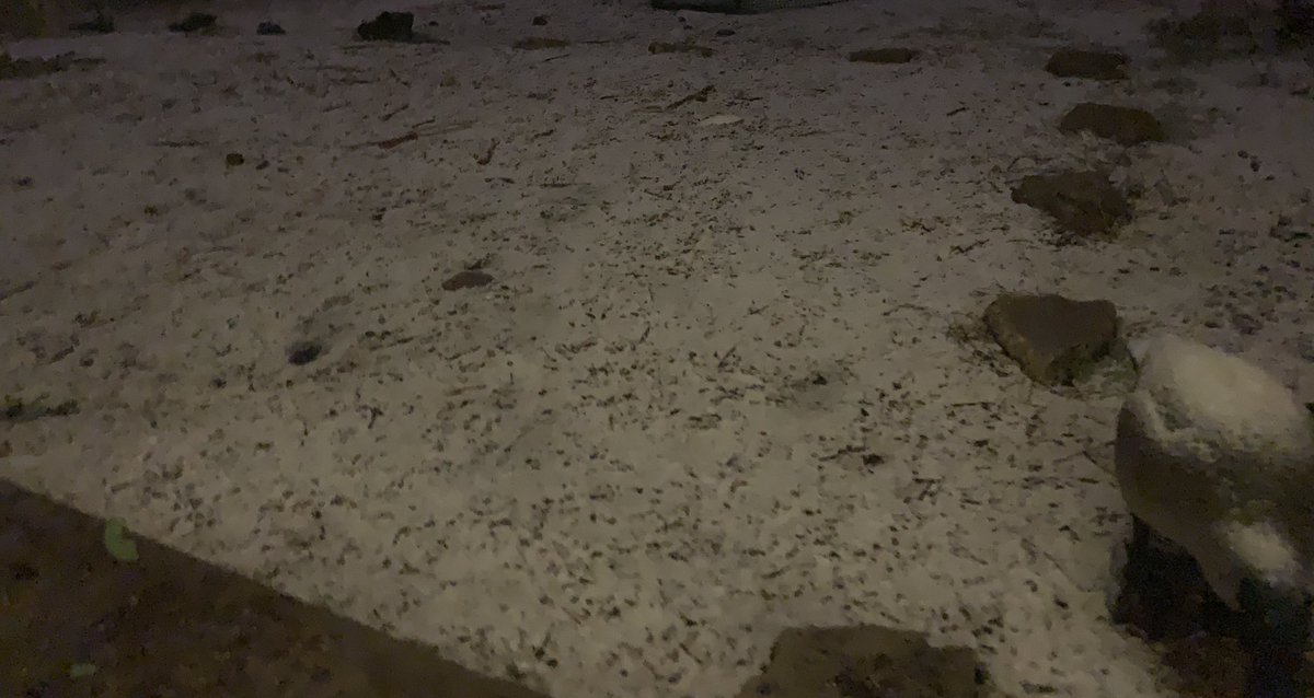 PresteezyWX's tweet photo. Some snow in W Lakewood @NWSBoulder Near Kipling &amp; Alameda #cowx https://t.co/0zFRCPuua0