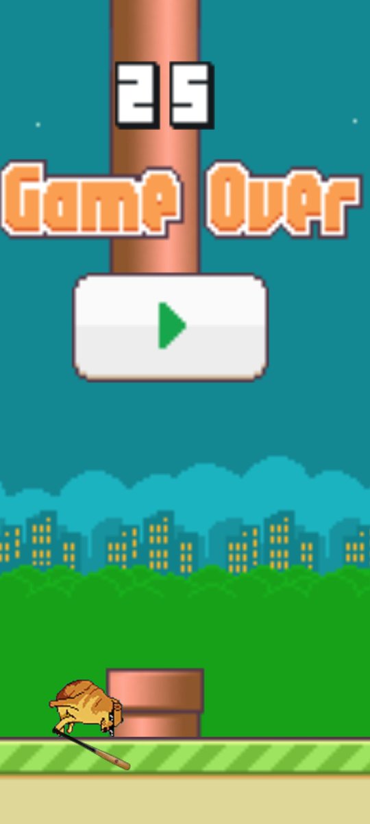 This game is harddd, I hope the author makes difficulty adjustments. Still loving it ☺️😻 #bonk #dogebonk