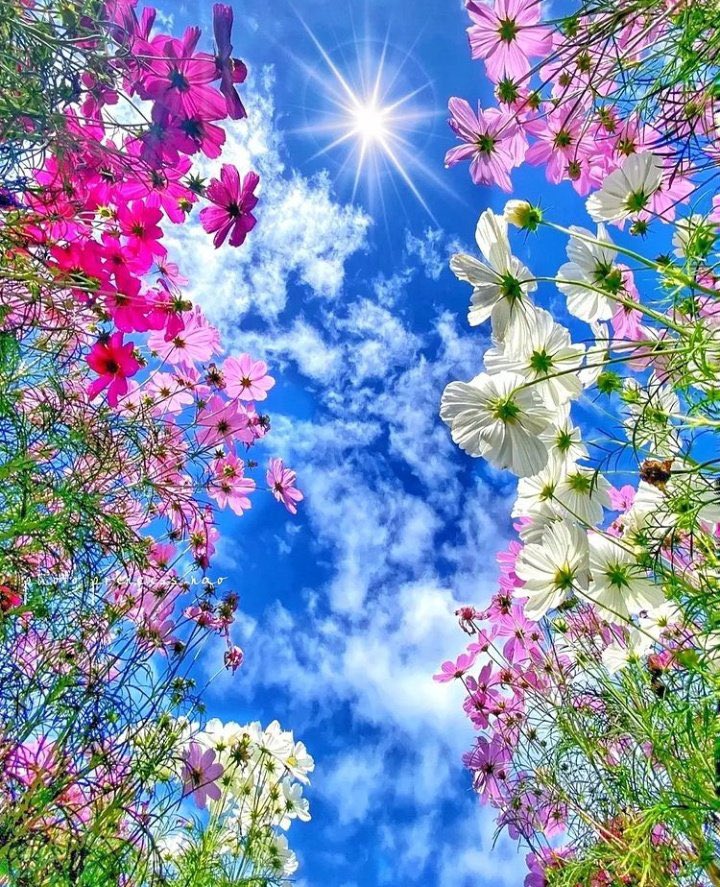 Kristal38922455's tweet photo. Lovely day &amp; happy new week ☀️
🤍❤️💚 https://t.co/qA5OQqlO9W