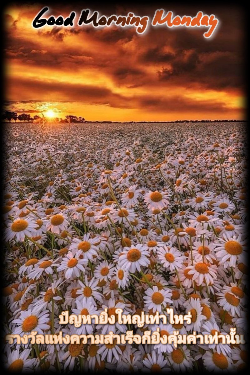 Nit Satun tweet media