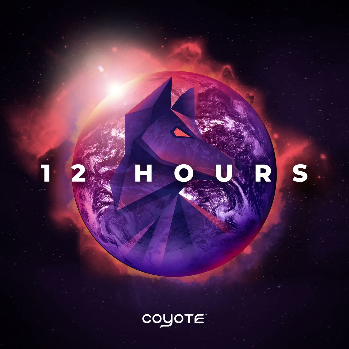 Coyote Coin™ tweet media