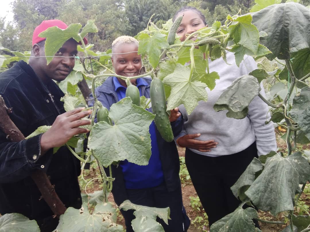 CelinaHatidani's tweet photo. Farm visits gives us an unedited picture of how the farmer is running their business,on site Agro-Advisory and a one on session with the farmer 
#syngenta 
#farmingpassion 
#extension 

@TtMmAgri 
@FarmDudeZW 
@MpondaSabinus 
@GenesisSeedling 
@freshgroup 
@rundeeeee 
@ndakaripa https://t.co/aF7kOVMuC9