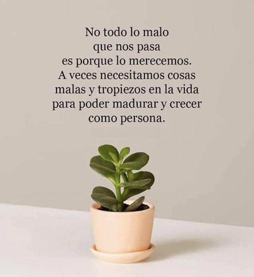 MCubanea's tweet photo. ✨ https://t.co/JOd7JDtk4x