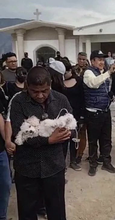 ctcastelo's tweet photo. Ella es #Bombón, la perrita a la que le arrebataron a su mamá humana #DebahniEscobar. Desconsolada 💔 las víctimas colaterales en las que nadie piensa . https://t.co/nDVDIZaynd