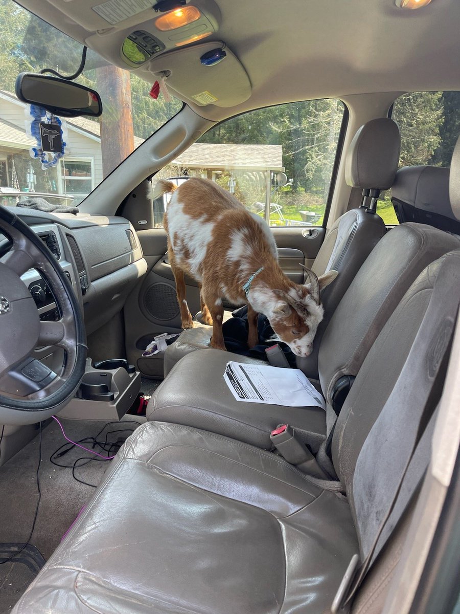 Gwen Bush tweet media