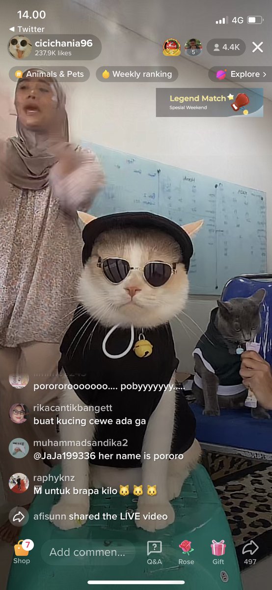 aan__'s tweet photo. Di antara kesibukan2ku, selalu nyempetin liat pororo live jualan baju 🥲 https://t.co/8bH6pElCT1