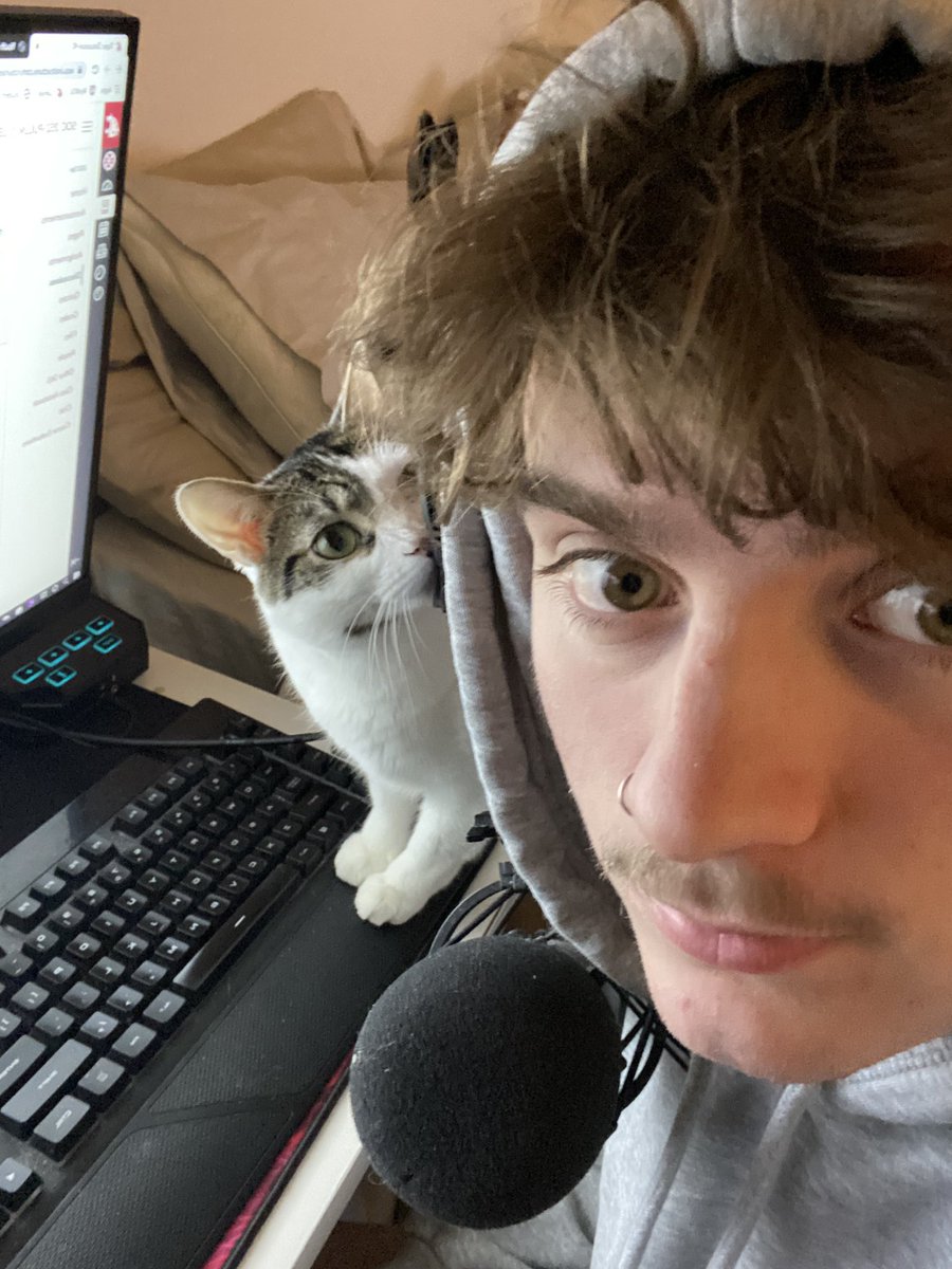 hammyysammyy's tweet photo. best cat owners pt. 2 #sebotwtselfieday https://t.co/GlwrpMN0do