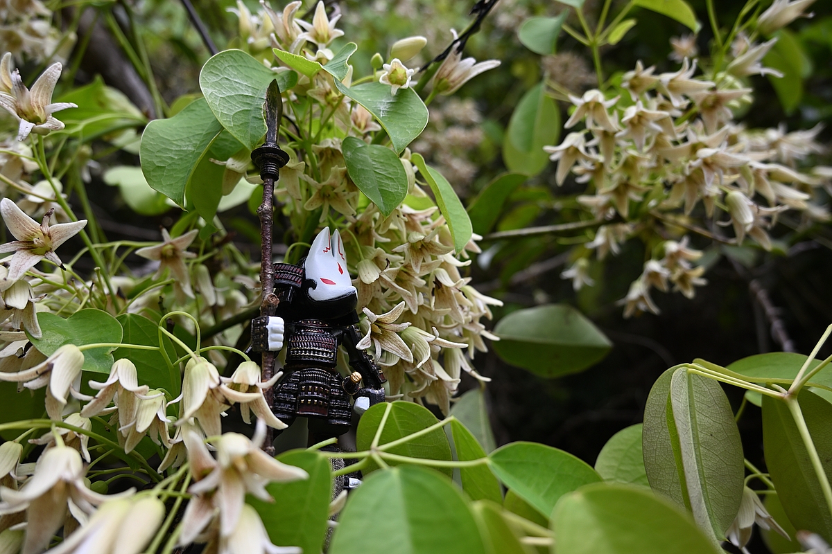 郁子 のモデル作品 7 件 Twoucan