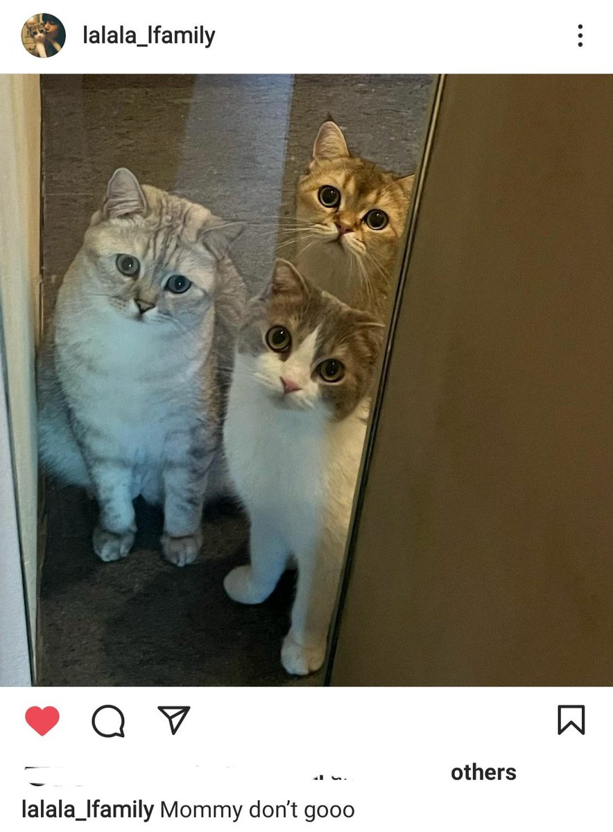 Iinibeh's tweet photo. Where is your mommy going?? 🤨🤨 https://t.co/ejgZcXbwr1