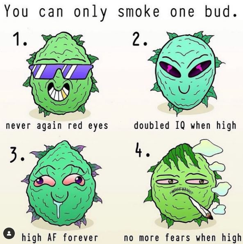 PotSmokingApp's tweet photo. Join a chill stoner community and smoke with people from around the world in our virtual sessions! 🌎💨