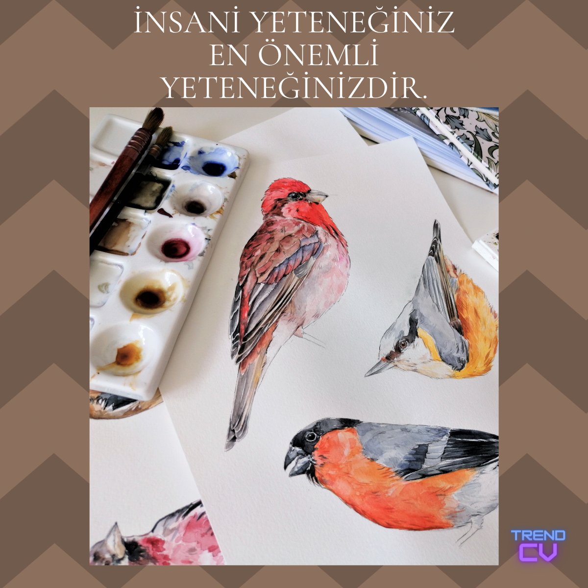 trendcvs's tweet photo. 💥 İNSANİ YETENEĞİNİZ EN ÖΝΕMLI YETENEĞİNİZDİR  #liderlik #kariyer #trendcv #aday #isfirsatlari #cv #trendyjob #trendycv #ozgecmis #mulakat #isgorusmesi #insankaynaklari 💪 https://t.co/6kdaHG72qx