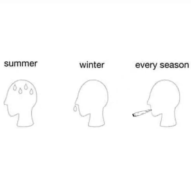 PotSmokingApp's tweet photo. Facts 🤷‍♂️💨