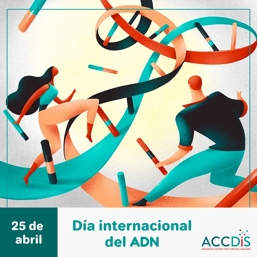 FONDAP_ACCDiS's tweet image. El 25 de abril se celebra el #DíaInternacionaldelADN, para conmemorar el descubrimiento de la estructura en doble hélice del ácido desoxirribonucleico (ADN), considerado uno de los hallazgos científicos más significativos del siglo XX y de mayor impacto en la humanidad 🧬🧪👩🏻‍🔬🔬