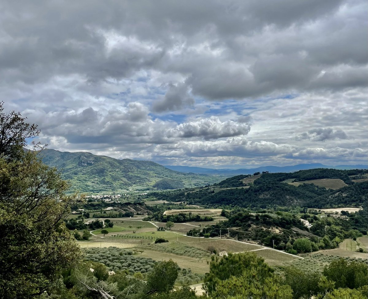 Après la pluie!!!! #cotesdurhone #Biodiversité #dromeprovencale #baronniesprovencales #nyons