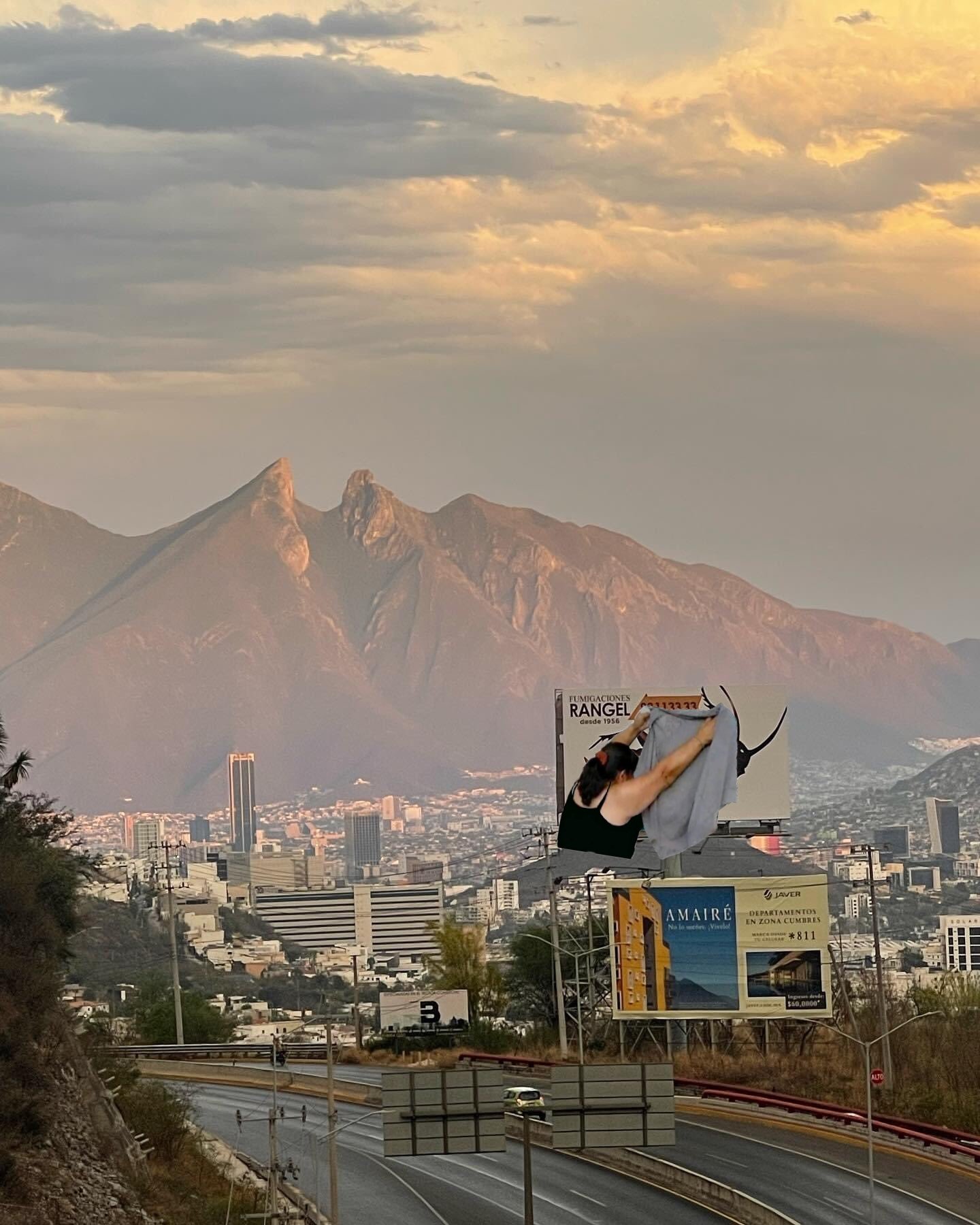 QuePasaEnNL ®️ on Twitter: "Tan bonito el cerro de la silla y nos ponen gigante 🪳 de publicidad 🤦🏻‍♂️ https://t.co/My0tBVbZhO" / Twitter
