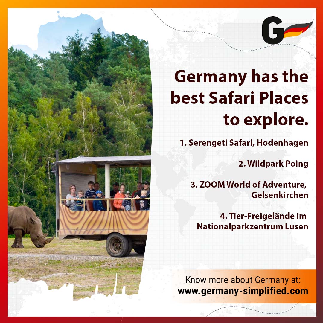 germanysimple's tweet image. Germany has a lot to offer and Safari is one of the attractive activities that people opt for.  You get an array of Safari places to get a lifelong experience. 
.
.
.
.
#GermanySimplified #germany #triptogermany #studyinGermany #germanytourism #visitgermany