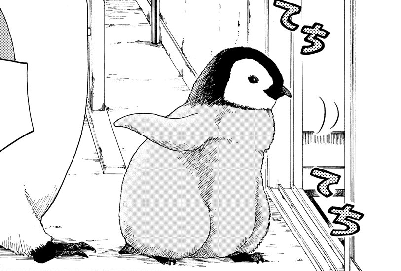 #世界ペンギンの日 