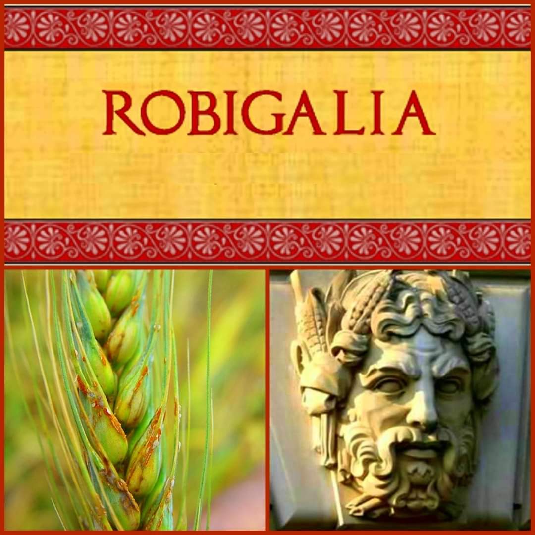 antinousgaygod's tweet photo. 25 April is the #Robigalia Roman feast of the god #Robigus and/or goddess #Robigo, deity of wheat rust, grain mildew. Blood &amp; entrails of an unweaned, rust-colored puppy were sacrificed to #Hecate and other #chthonic deities to protect grain fields from crop blight. https://t.co/t4NOCABLii