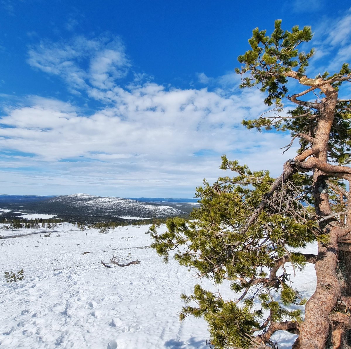 Kevätaurinko lämmittää jo, mutta vielä on aikaa lasketella! Levillä rinteitä auki äitienpäivään, 8.5., saakka. 
Rinnetiedot sivuiltamme.
levi.fi/laskettelu-ja-…
<a href="/LeviSkiResort/">LeviSkiResort</a>