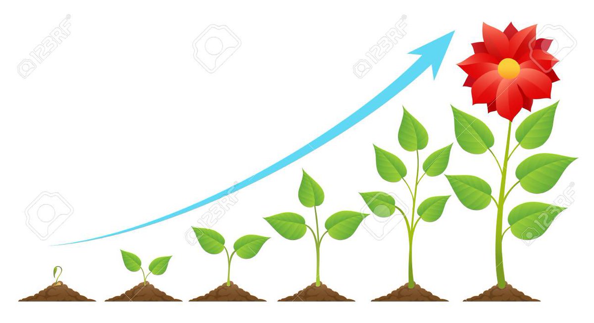 empire_of_bloom's tweet photo. How to plant plants in advance? We have a solution!!! We introduce a new product that allows you to quickly grow any plant in any climate zone. https://t.co/cuQZ7q2AzR