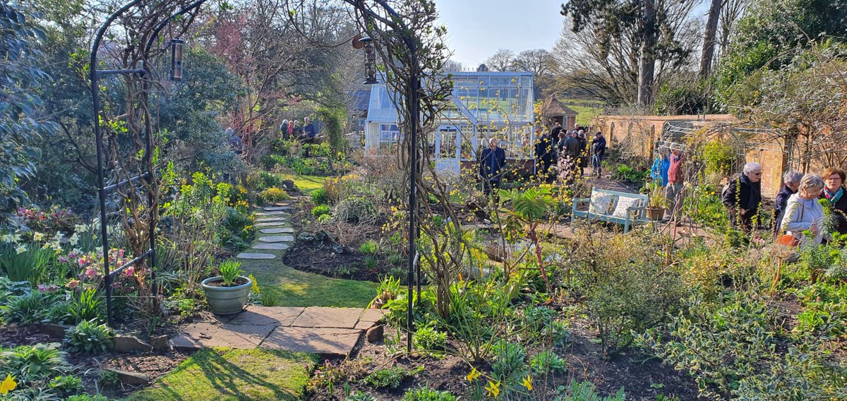 Thurs 28 April 2-5  23 St John Road, Rowley Park, Stafford ST17 9AS is open. Bulbs and shady woodlanders and masses of herbaceous plants and climbers. Walled garden &amp; victorian-style greenhouse. Hardy Plant Soc member garden &amp; plants for sale. Teas.findagarden.ngs.org.uk/garden/19475/2…