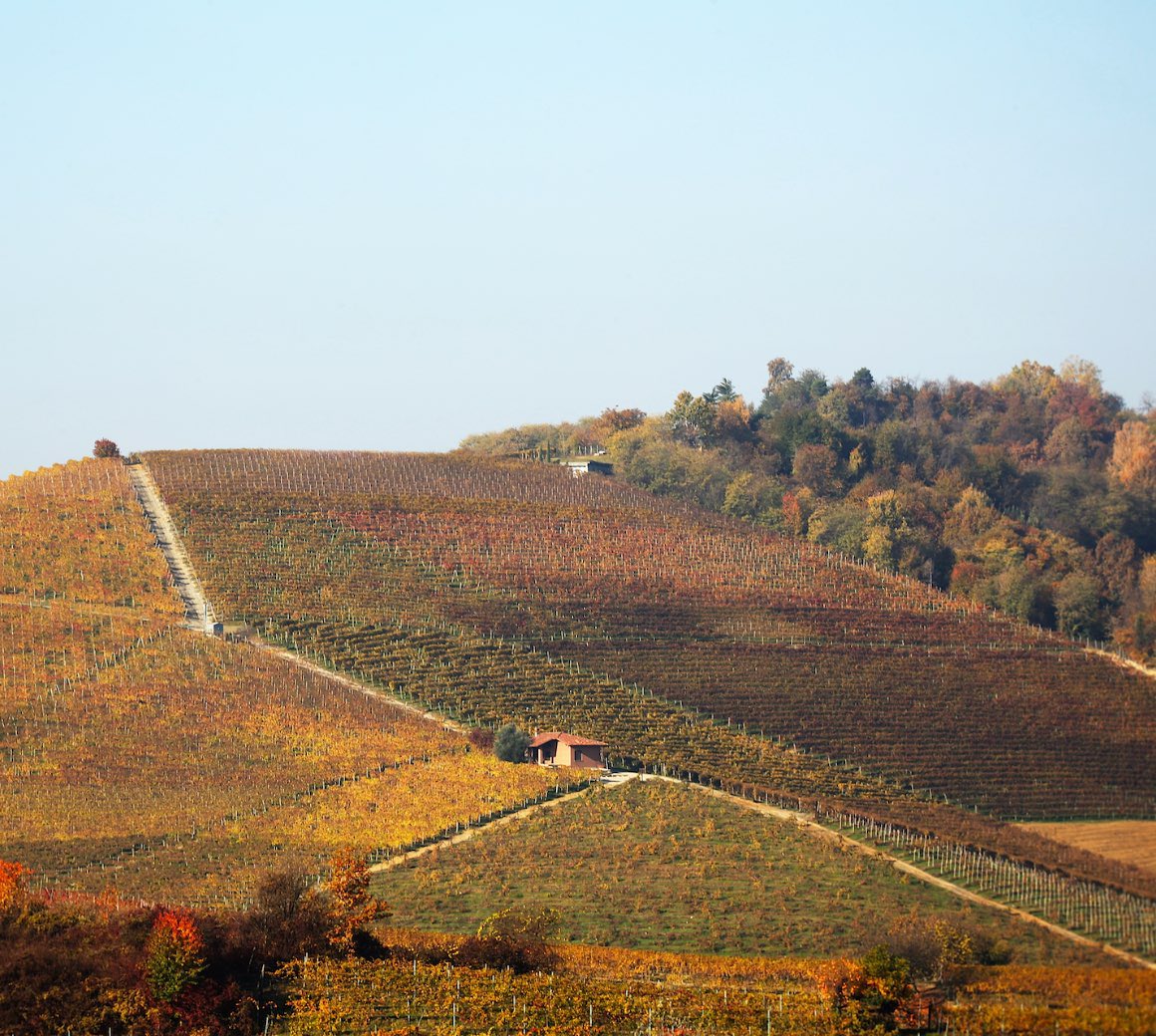 Cantine Povero Tasting, Quaff Hove. Wed 11th May. £10 a ticket. 

We are delighted to welcome Lucrezia Povero from Cantine Povero in the heart of Piedmont, northern Italy.
quaffwine.com/product/cantin…

#brightonandhove #brightonwine #hovewine