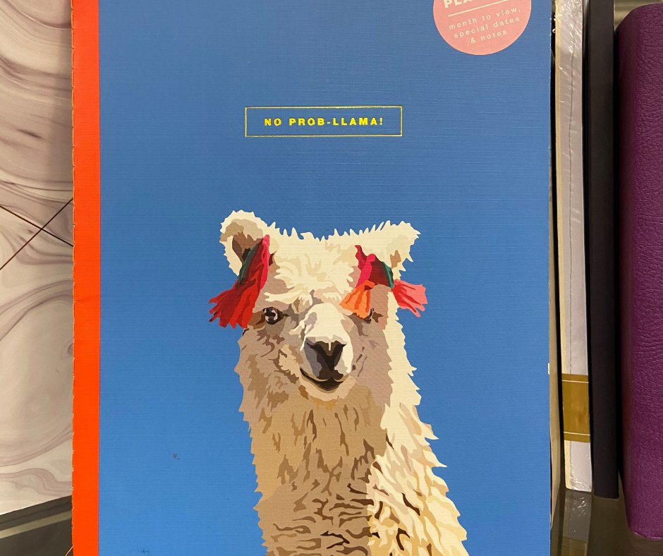 Struggling to keep on top of your business accounts? No prob-llama!

Llama Accounting can help you with all your needs- send us a DM today for a free, confidential chat. 

#LlamaAccounting #NoDramaWithLlama #JoinTheHerd
