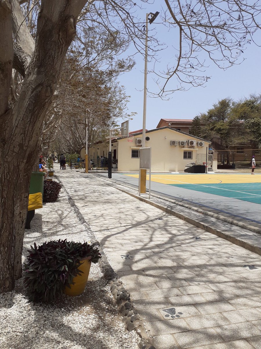 Laura ESSCA Afrique tweet media