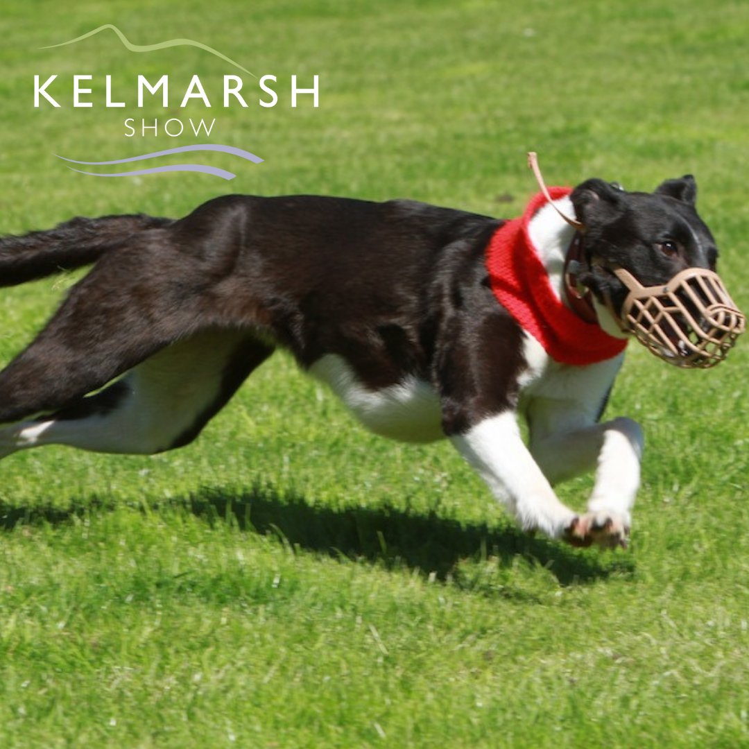 Kelmarsh Show (@kelmarshshow) on Twitter photo The <a href="/CountrymansW/">The Countryman's Weekly</a> Terrier & Lurcher results are in from the Kelmarsh Show weekend.
Check out the link below to see how you got on!
kelmarshshow.co.uk/2022/04/22/kel…
#lurchers #terriers #Countryside #KelmarshShow #FamilyDayOut The <a href="/CountrymansW/">The Countryman's Weekly</a> Terrier & Lurcher results are in from the Kelmarsh Show weekend.
Check out the link below to see how you got on!
kelmarshshow.co.uk/2022/04/22/kel…
#lurchers #terriers #Countryside #KelmarshShow #FamilyDayOut