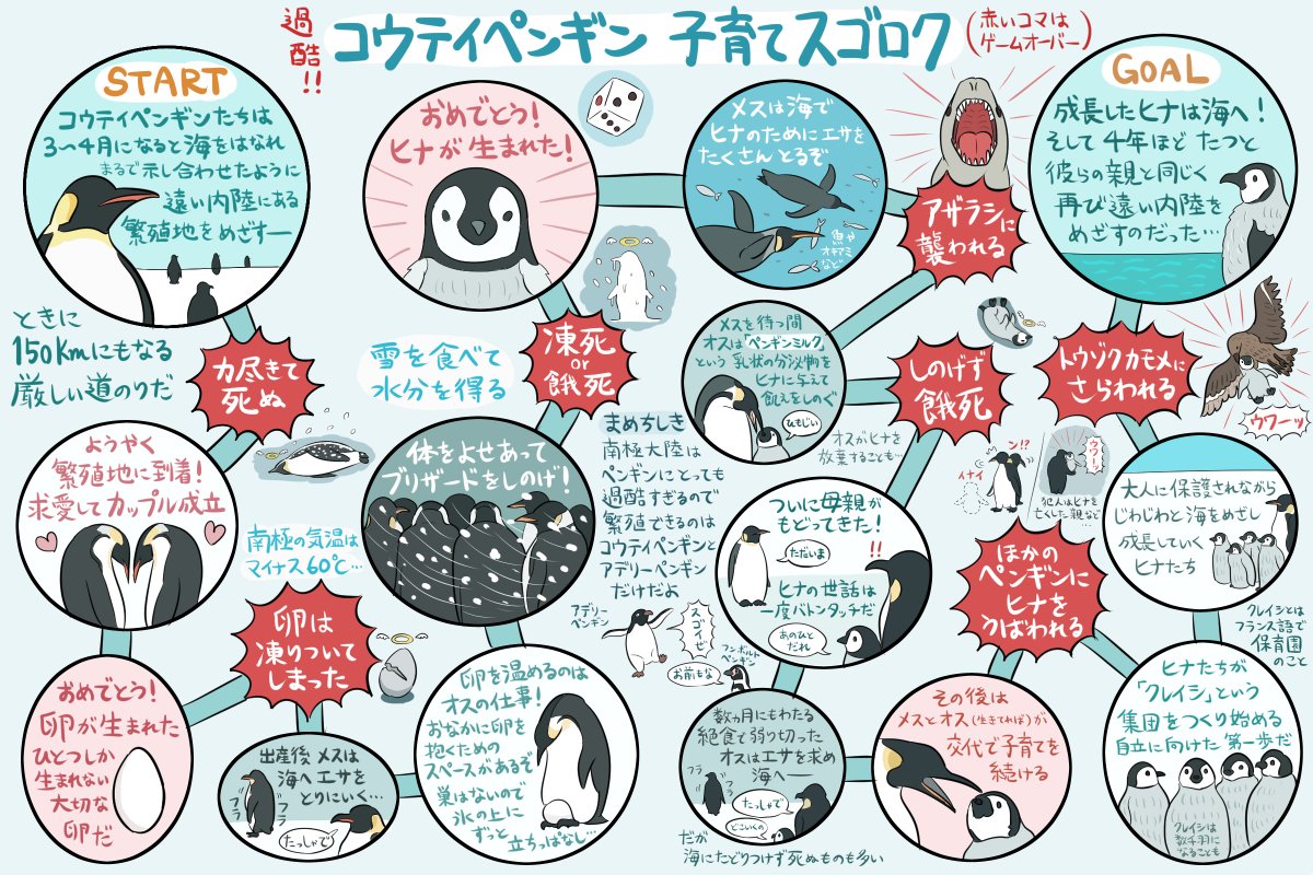 本日3/25は #世界ペンギンの日 なので前に描いたコウテイペンギン図解&スゴロクを再掲しておきますね(『なんかへんな生きもの』収録)。毎年アデリーペンギンがこの日の前後にアメリカの南極基地にやってくるので科学者たちが「ペンギンの日にすっか」と祝ったことが始まりだそうです。そりゃ祝うわ 