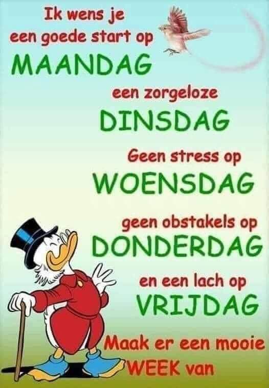 LouMuijsers's tweet photo. https://t.co/nM5Gcu83q5