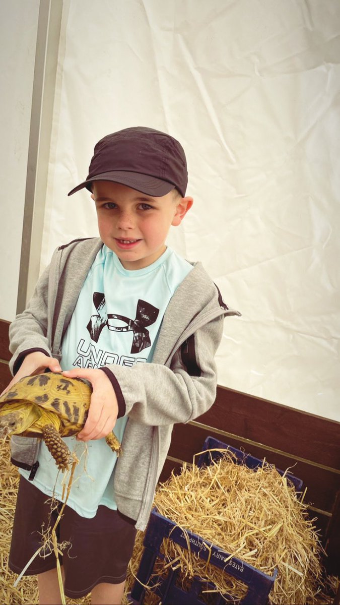 amydean92x's tweet photo. Louis &amp; Nevaeh loved seeing all the animals ❤️🐢🐍🐰 @PCPKangaroos @PCPPenguins https://t.co/du6wxqgNQ1