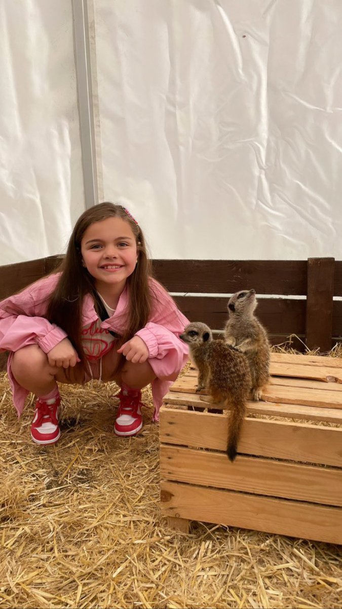 amydean92x's tweet photo. Louis &amp; Nevaeh loved seeing all the animals ❤️🐢🐍🐰 @PCPKangaroos @PCPPenguins https://t.co/du6wxqgNQ1