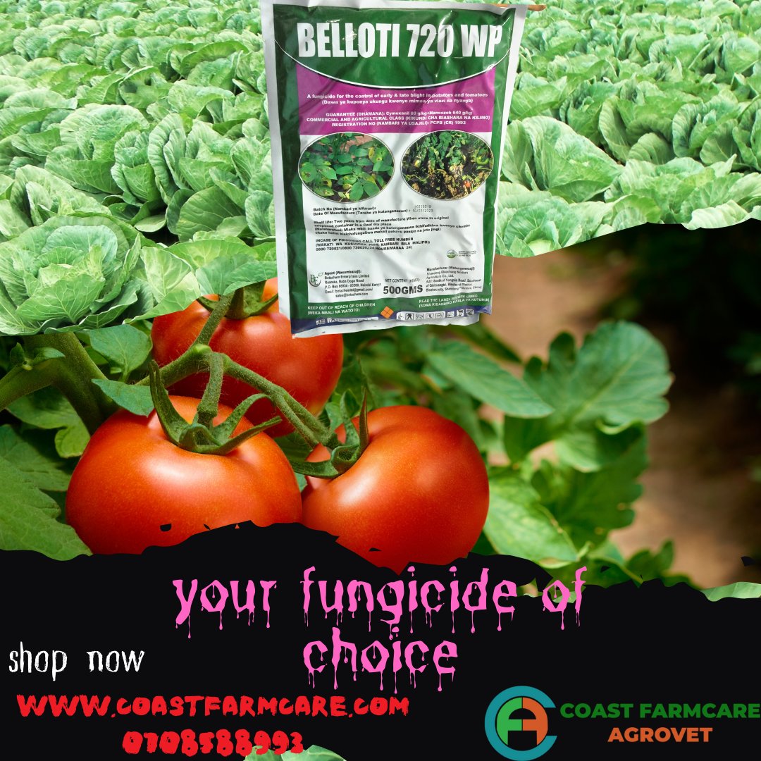 The absolute curative and preventive fungicide for all crops and vegetables. Kinga kamili.